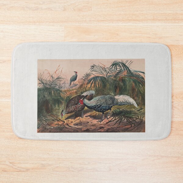 Item preview, Zoological sketches by Joseph Wolf 1861 to 1867 088 The Lineated Pheasant designed and sold by WetdryvacRB01.