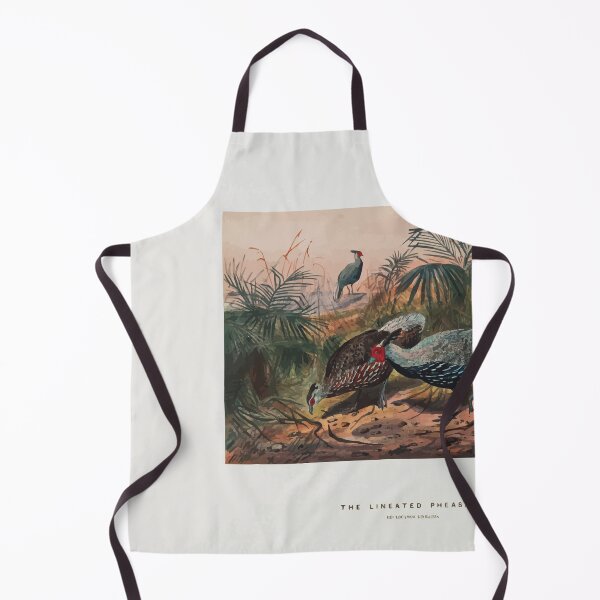 Item preview, Zoological sketches by Joseph Wolf 1861 to 1867 088 The Lineated Pheasant designed and sold by WetdryvacRB01.