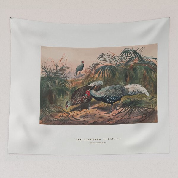 Item preview, Zoological sketches by Joseph Wolf 1861 to 1867 088 The Lineated Pheasant designed and sold by WetdryvacRB01.