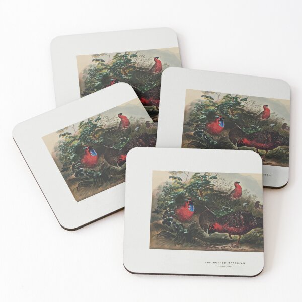 Item preview, Zoological sketches by Joseph Wolf 1861 to 1867 089 The Horned Tragopan designed and sold by WetdryvacRB01.