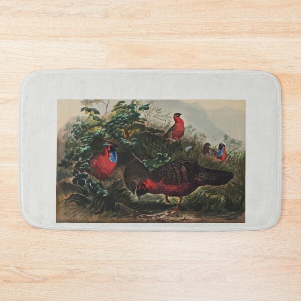 Item preview, Zoological sketches by Joseph Wolf 1861 to 1867 089 The Horned Tragopan designed and sold by WetdryvacRB01.