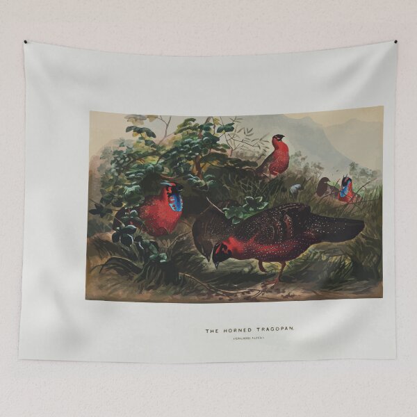 Item preview, Zoological sketches by Joseph Wolf 1861 to 1867 089 The Horned Tragopan designed and sold by WetdryvacRB01.