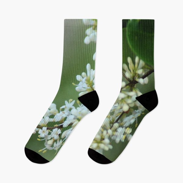Item preview, Waxleaf Ligustrum designed and sold by Carla Jensen.