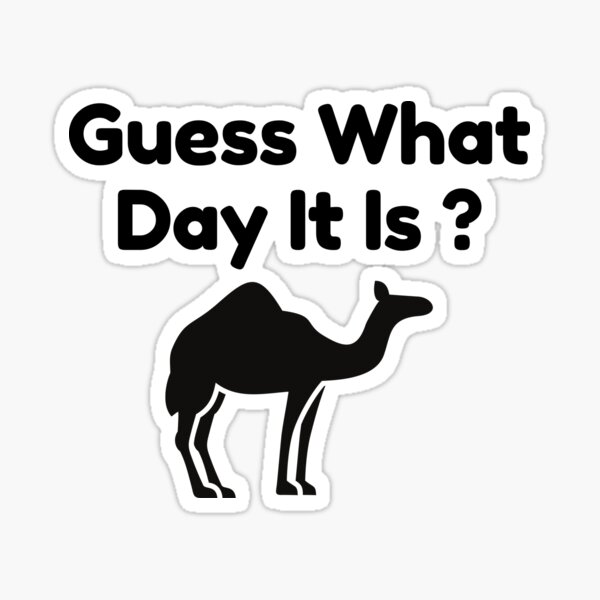 hump day,camel,couples,funny,hump day trending,hump day,hump day,...