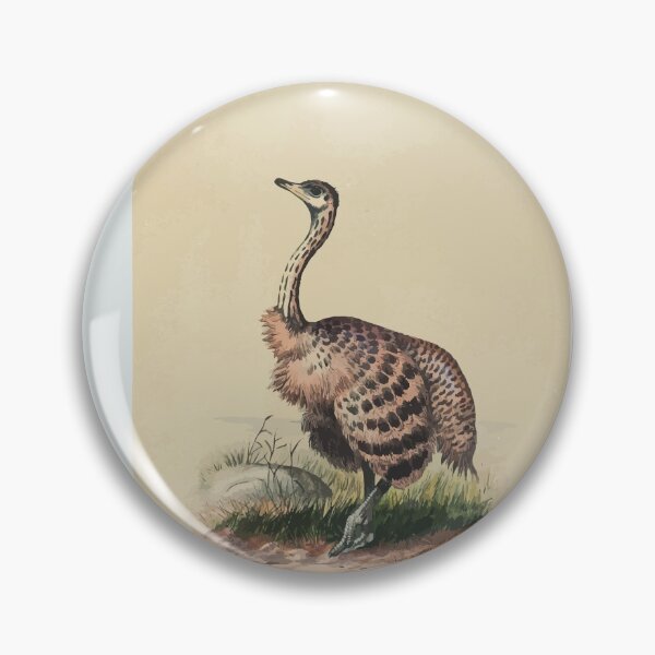 Item preview, Zoological sketches by Joseph Wolf 1861 to 1867 091 The Ostrich designed and sold by WetdryvacRB01.