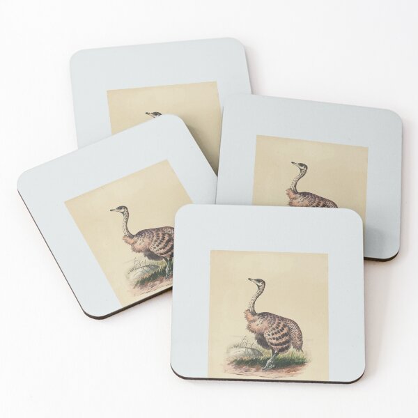 Item preview, Zoological sketches by Joseph Wolf 1861 to 1867 091 The Ostrich designed and sold by WetdryvacRB01.