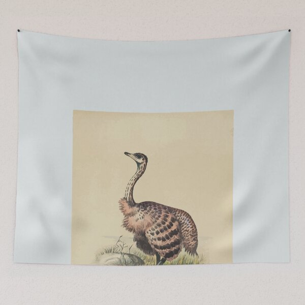 Item preview, Zoological sketches by Joseph Wolf 1861 to 1867 091 The Ostrich designed and sold by WetdryvacRB01.