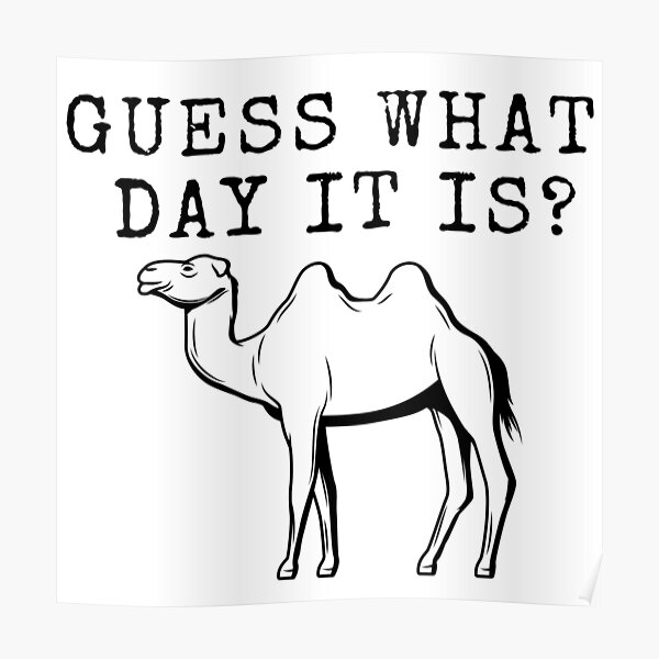 Hump Day Posters Redbubble