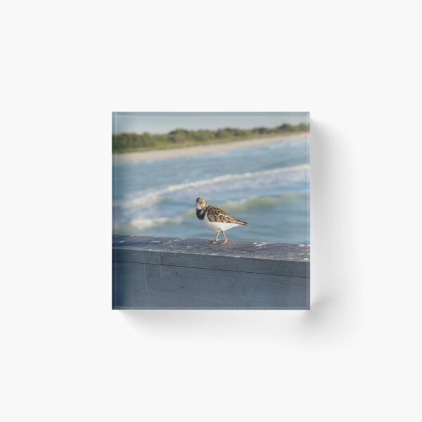 Item preview, plover designed and sold by distracted.