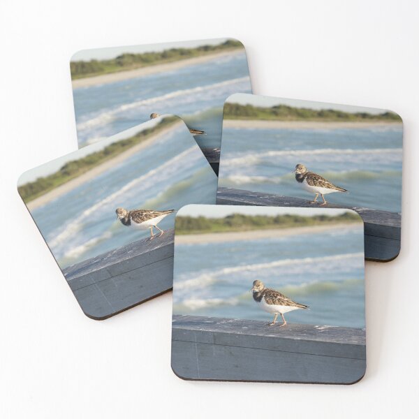 Item preview, plover designed and sold by distracted.