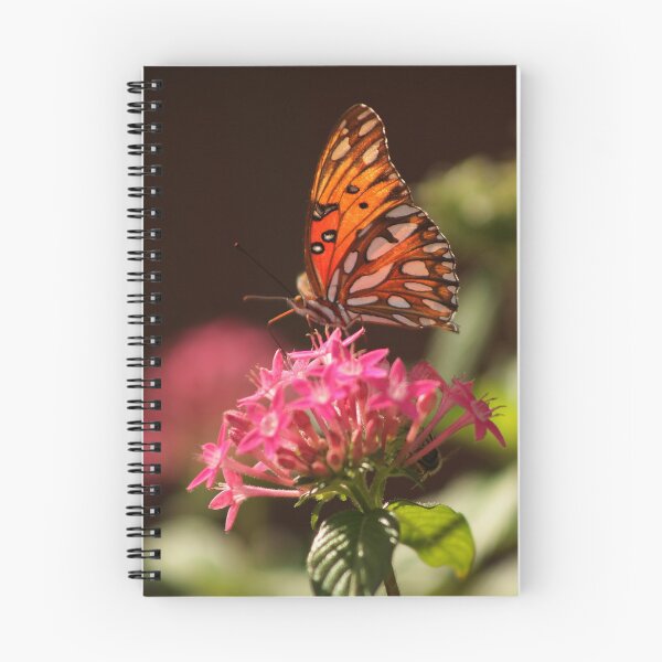 Item preview, Gulf Fritillary butterfly designed and sold by aflutter.