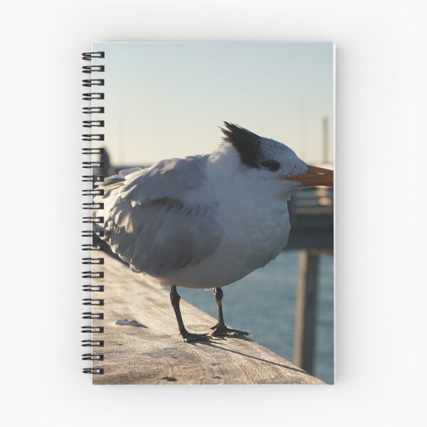 Item preview, royal tern designed and sold by distracted.