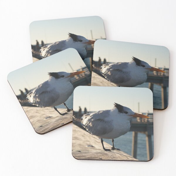 Item preview, royal tern designed and sold by distracted.