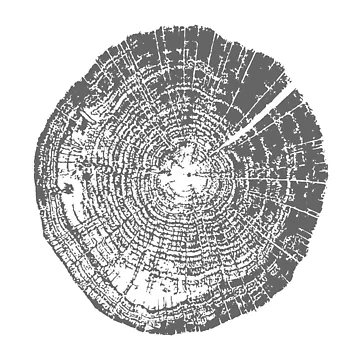 Artwork thumbnail, Tree Rings by ChaseBig
