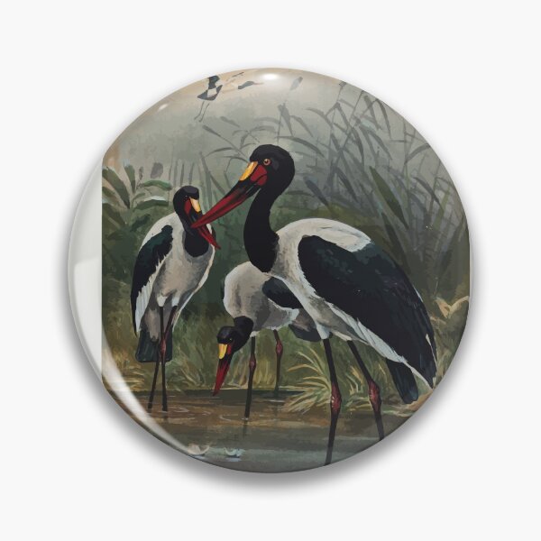 Item preview, Zoological sketches by Joseph Wolf 1861 to 1867 092 The Saddle Billed Stork designed and sold by WetdryvacRB01.
