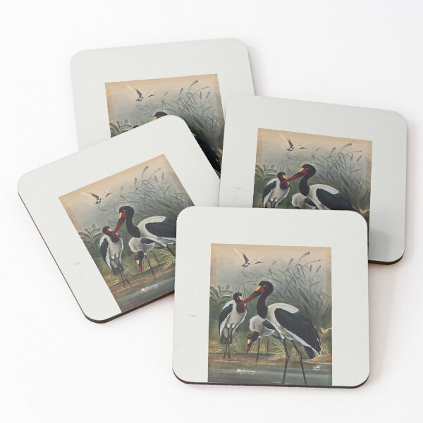 Item preview, Zoological sketches by Joseph Wolf 1861 to 1867 092 The Saddle Billed Stork designed and sold by WetdryvacRB01.