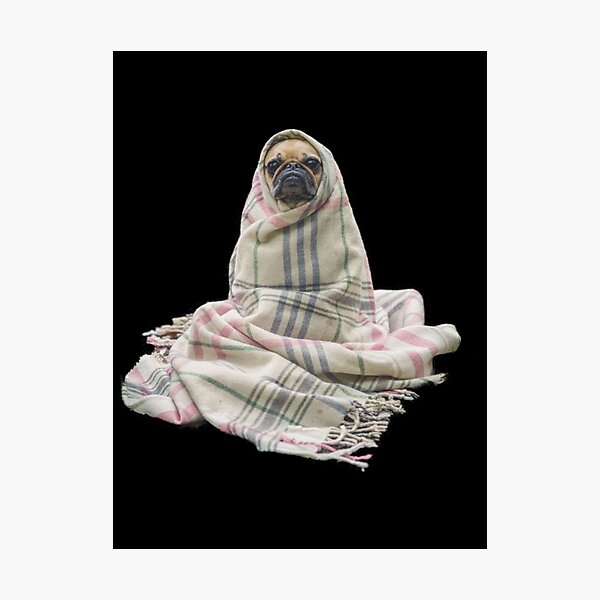 Item preview, Cozy Pug Dog Blanket designed and sold by Lossubum5683.