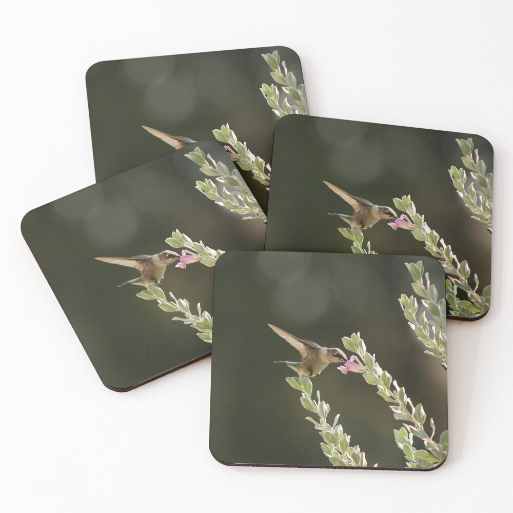 Item preview, Coasters (Set of 4) designed and sold by aflutter.