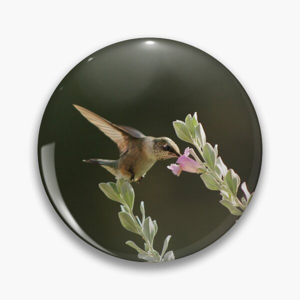 Item preview, Ruby-throated Hummingbird designed and sold by aflutter.