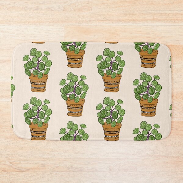 Item preview, Watermelon Peperomia designed and sold by lovethemplants.