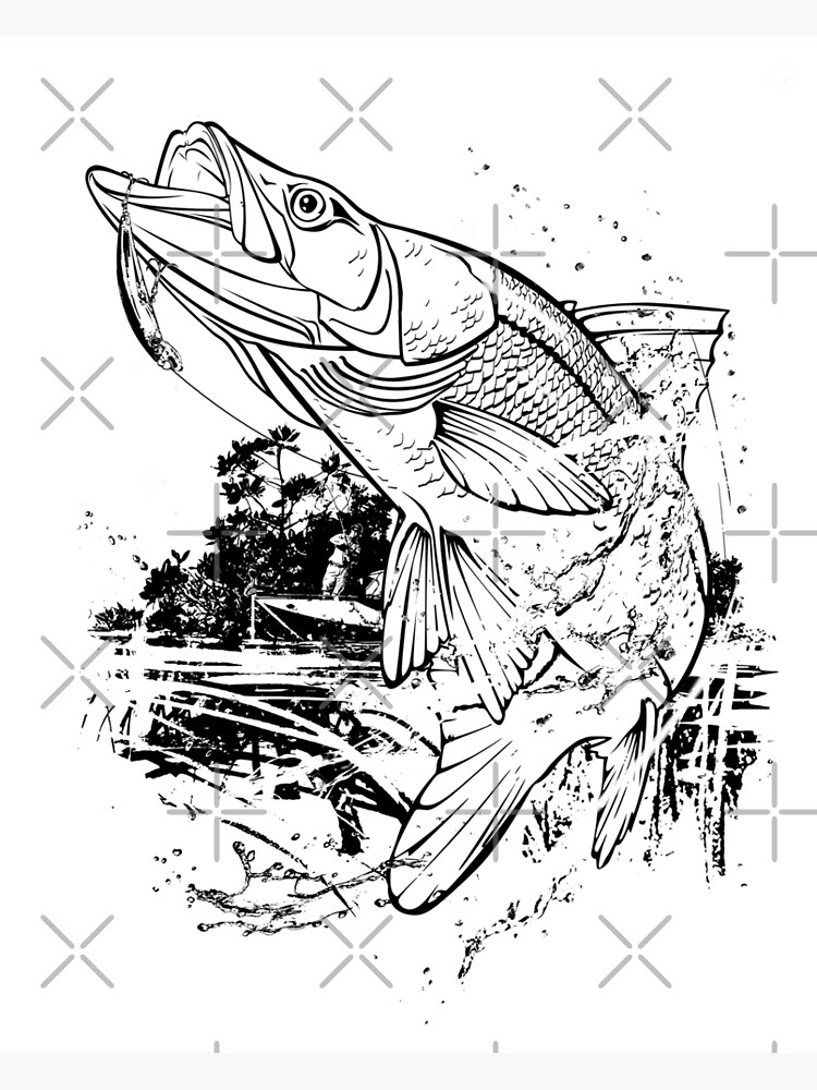 Snook Fishing Poster for Sale by Salmoneggs