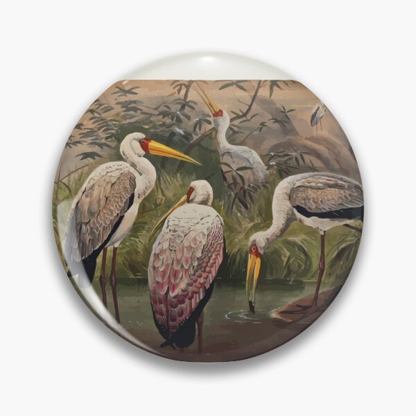 Item preview, Zoological sketches by Joseph Wolf 1861 to 1867 095 The African Wood Ibis designed and sold by WetdryvacRB01.