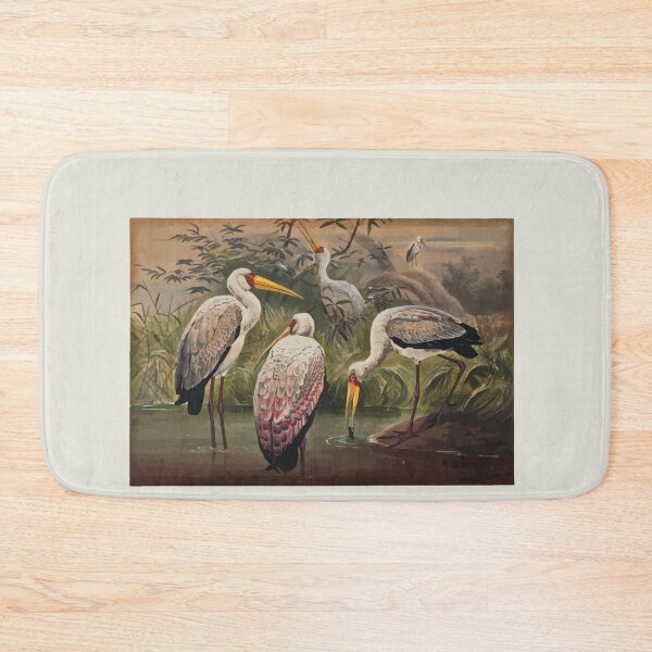 Item preview, Zoological sketches by Joseph Wolf 1861 to 1867 095 The African Wood Ibis designed and sold by WetdryvacRB01.