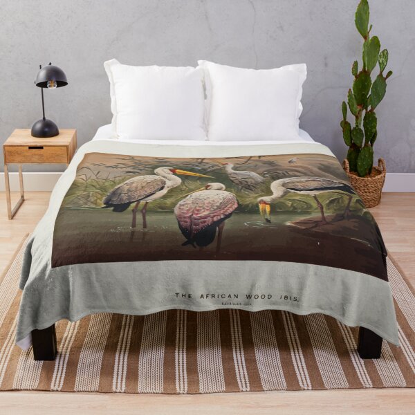 Item preview, Zoological sketches by Joseph Wolf 1861 to 1867 095 The African Wood Ibis designed and sold by WetdryvacRB01.