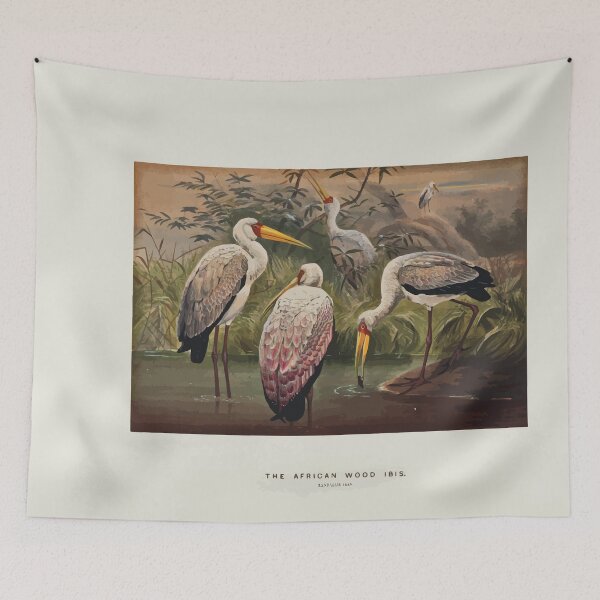 Item preview, Zoological sketches by Joseph Wolf 1861 to 1867 095 The African Wood Ibis designed and sold by WetdryvacRB01.