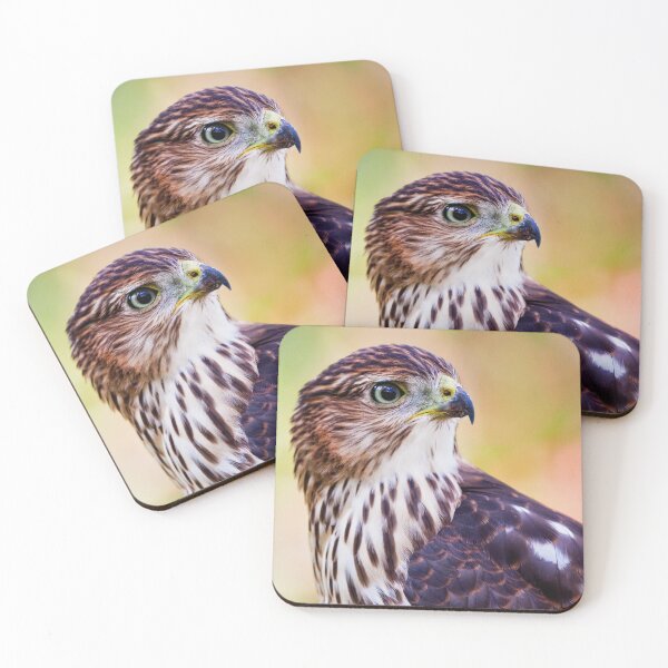 Item preview, Coopers Hawk Beautiful Image designed and sold by Vargulich.