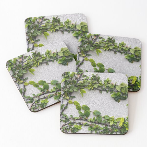 Item preview, Hervey Bay Honeysuckle Vines designed and sold by WomensShed4573.