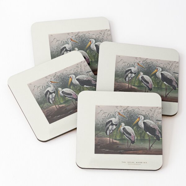Item preview, Zoological sketches by Joseph Wolf 1861 to 1867 096 The Indian Wood Ibis designed and sold by WetdryvacRB01.