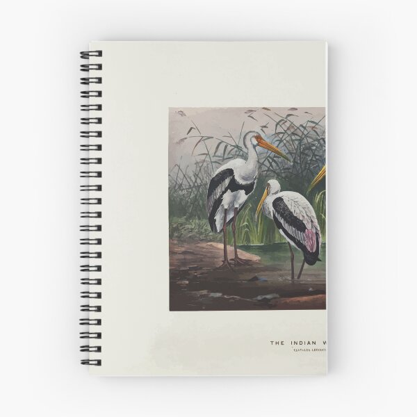 Item preview, Zoological sketches by Joseph Wolf 1861 to 1867 096 The Indian Wood Ibis designed and sold by WetdryvacRB01.