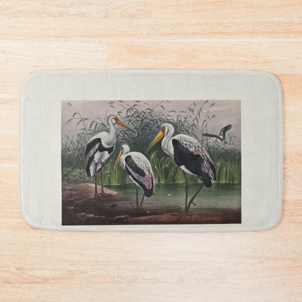 Item preview, Zoological sketches by Joseph Wolf 1861 to 1867 096 The Indian Wood Ibis designed and sold by WetdryvacRB01.