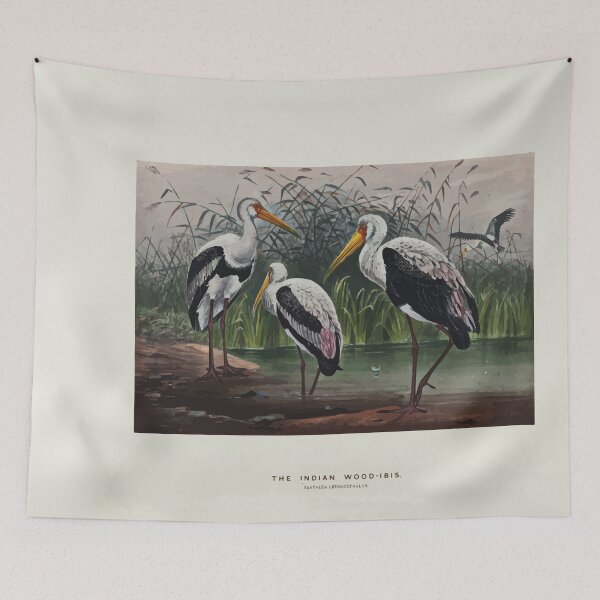Item preview, Zoological sketches by Joseph Wolf 1861 to 1867 096 The Indian Wood Ibis designed and sold by WetdryvacRB01.