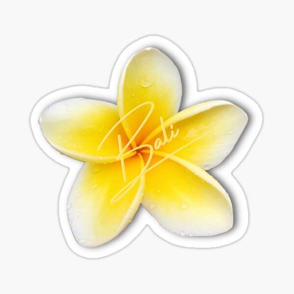 Artikel-Vorschau von Liebe Bali - Gelber Jepun - Plumeria, designt und verkauft von LittleAngy.