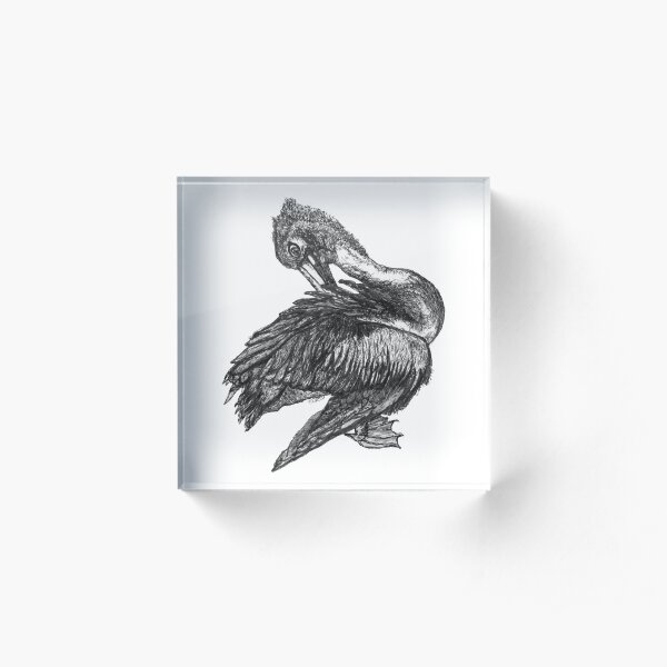 Percephone the Pelican Acrylic Block