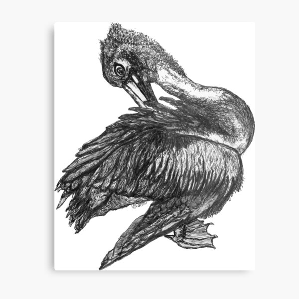 Percephone the Pelican Metal Print