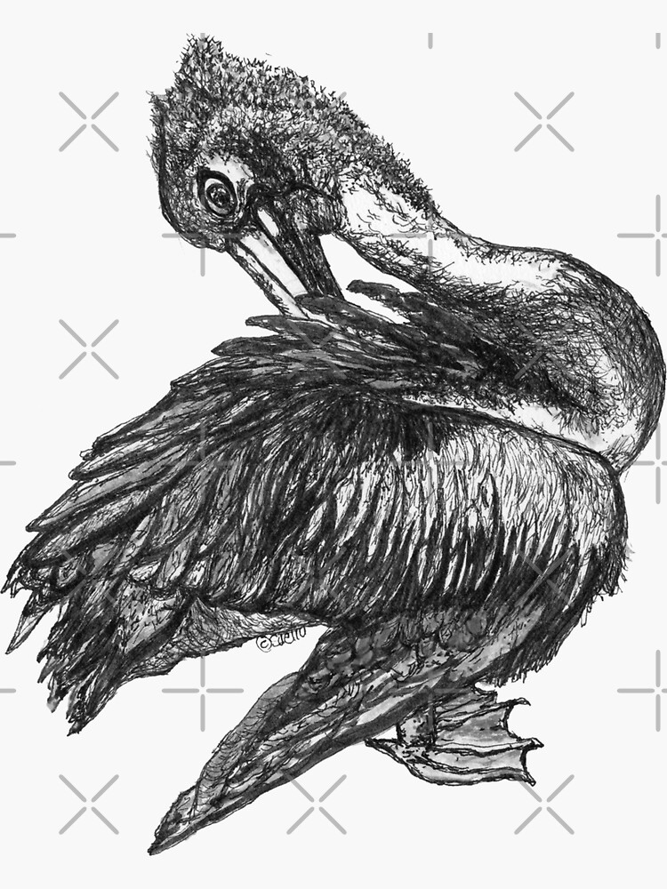 Percephone the Pelican by Wildcard-Sue