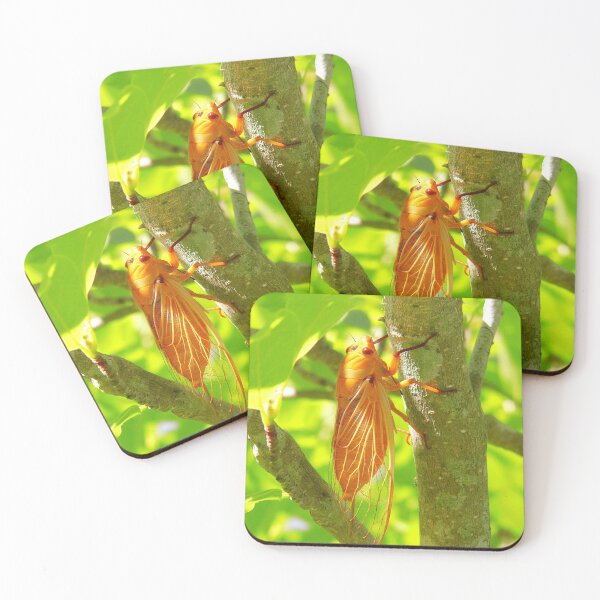 Item preview, Cicada Yellow Monday designed and sold by bradm50.