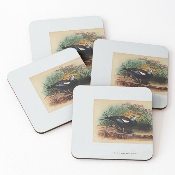 Item preview, Zoological sketches by Joseph Wolf 1861 to 1867 098 The Shielded Duck designed and sold by WetdryvacRB01.