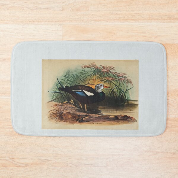 Item preview, Zoological sketches by Joseph Wolf 1861 to 1867 098 The Shielded Duck designed and sold by WetdryvacRB01.