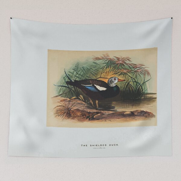 Item preview, Zoological sketches by Joseph Wolf 1861 to 1867 098 The Shielded Duck designed and sold by WetdryvacRB01.