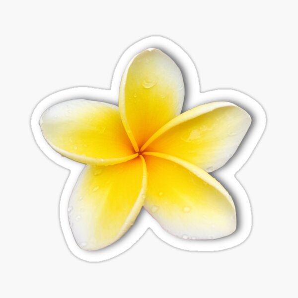 Item preview,  Love Bali - Yellow Jepun - Plumeria pattern designed and sold by LittleAngy.