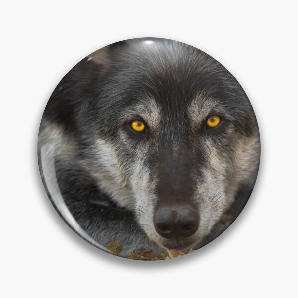 Item preview, Nashoba the Wolfdog designed and sold by CasualGoshawk.