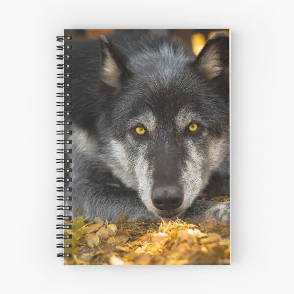 Item preview, Nashoba the Wolfdog designed and sold by CasualGoshawk.