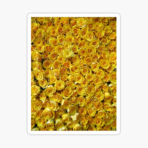 Yellow Roses Sticker