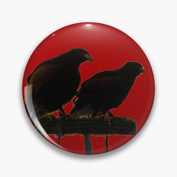 Item preview, Harris Hawks designed and sold by CasualGoshawk.