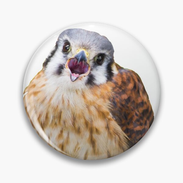 Item preview, Killi the American Kestrel designed and sold by CasualGoshawk.