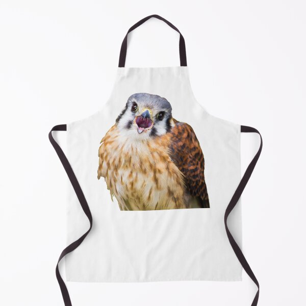 Item preview, Killi the American Kestrel designed and sold by CasualGoshawk.